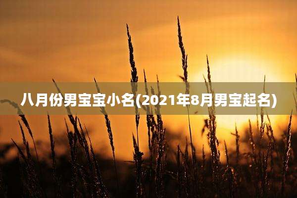 八月份男宝宝小名(2021年8月男宝起名)