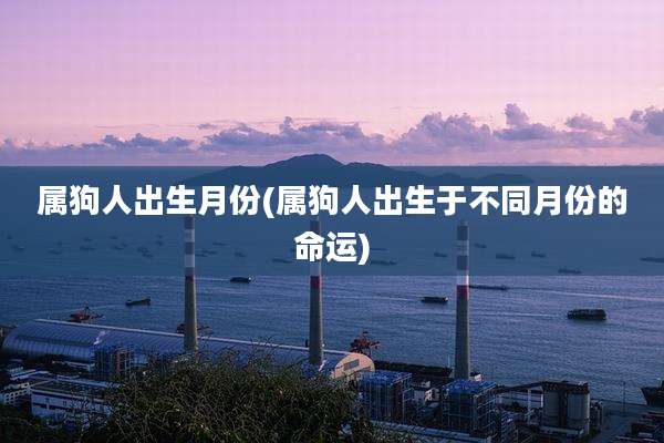属狗人出生月份(属狗人出生于不同月份的命运)