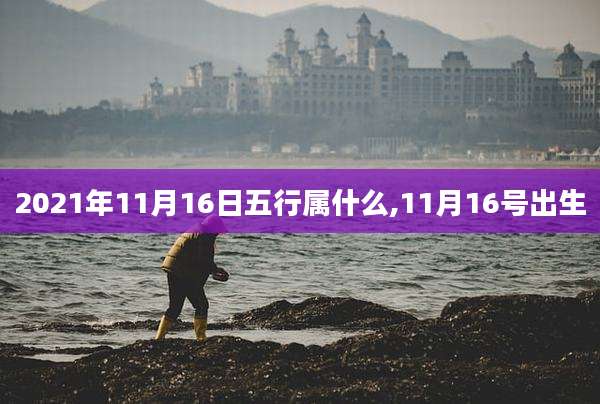 2021年11月16日五行属什么,11月16号出生