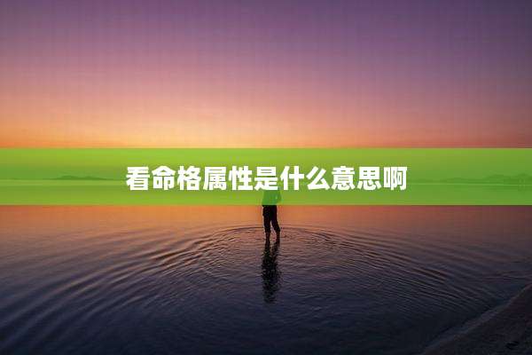 看命格属性是什么意思啊