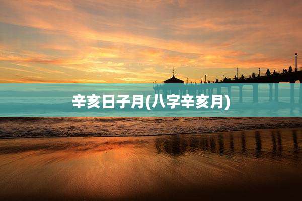 辛亥日子月(八字辛亥月)