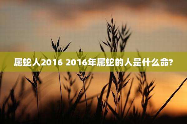 属蛇人2016 2016年属蛇的人是什么命?