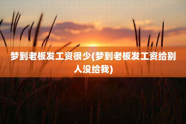 梦到老板发工资很少(梦到老板发工资给别人没给我)