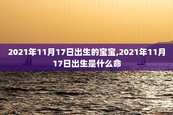 2021年11月17日出生的宝宝,2021年11月17日出生是什么命