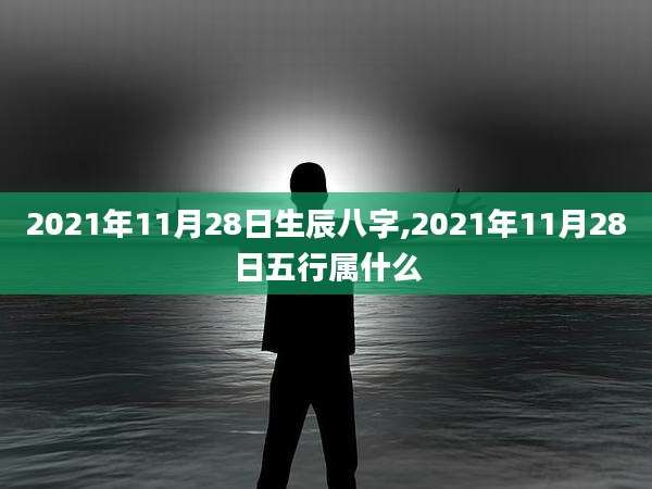 2021年11月28日生辰八字,2021年11月28日五行属什么