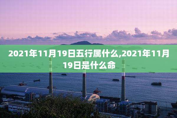 2021年11月19日五行属什么,2021年11月19日是什么命
