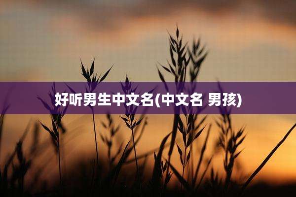 好听男生中文名(中文名 男孩)