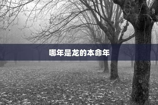 哪年是龙的本命年