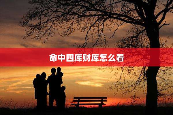 命中四库财库怎么看