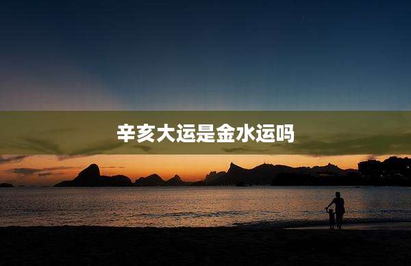 辛亥大运是金水运吗