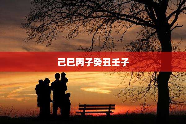 己巳丙子癸丑壬子