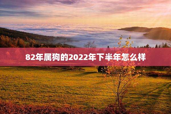 82年属狗的2022年下半年怎么样