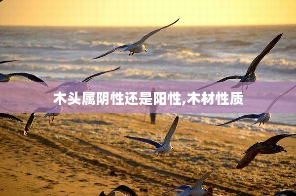 木头属阴性还是阳性,木材性质