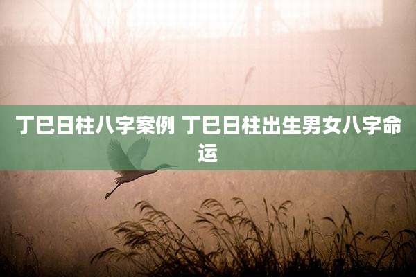 丁巳日柱八字案例 丁巳日柱出生男女八字命运