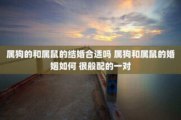 属狗的和属鼠的结婚合适吗 属狗和属鼠的婚姻如何 很般配的一对