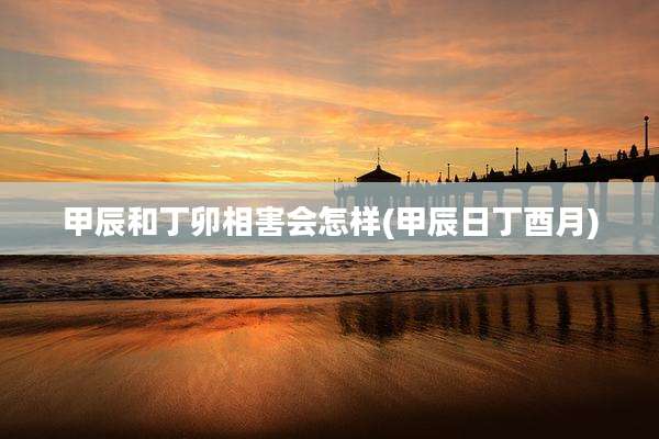 甲辰和丁卯相害会怎样(甲辰日丁酉月)