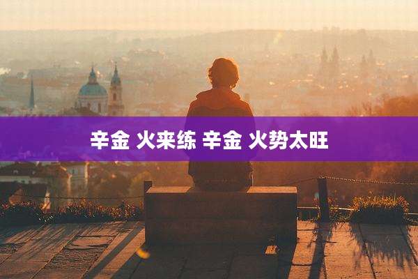 辛金 火来练 辛金 火势太旺