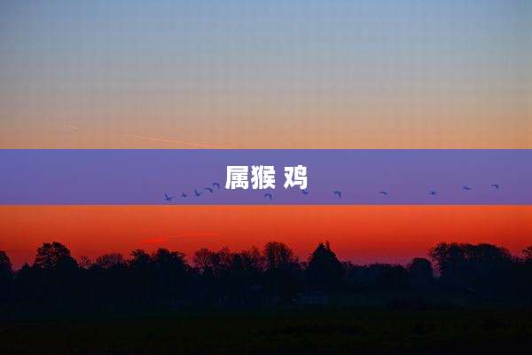 属猴 鸡