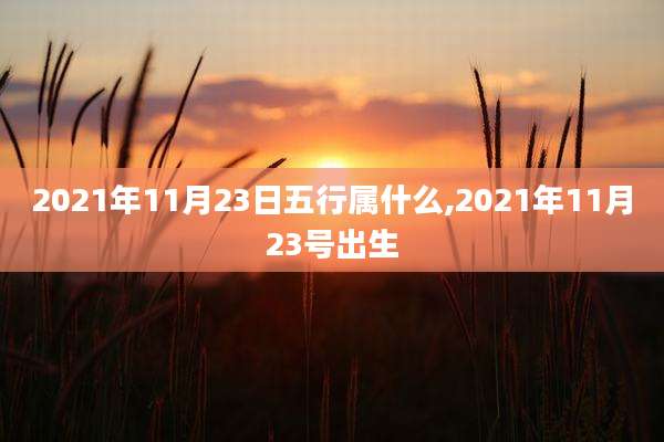 2021年11月23日五行属什么,2021年11月23号出生