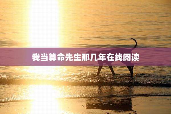 我当算命先生那几年在线阅读