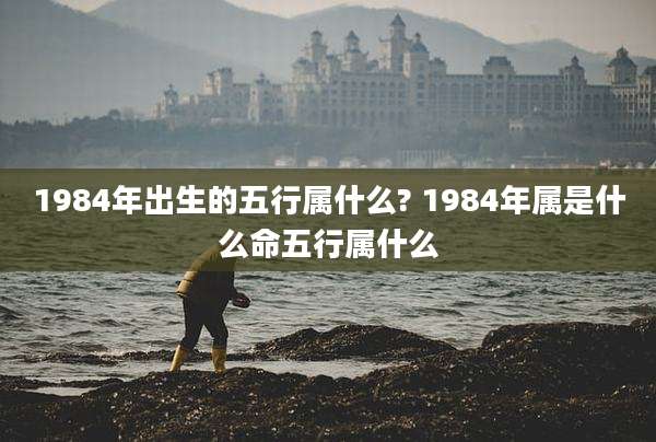 1984年出生的五行属什么? 1984年属是什么命五行属什么