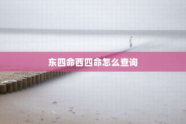 东四命西四命怎么查询