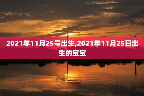 2021年11月25号出生,2021年11月25日出生的宝宝