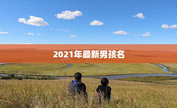 2021年最新男孩名