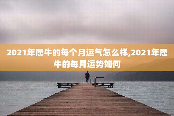 2021年属牛的每个月运气怎么样,2021年属牛的每月运势如何
