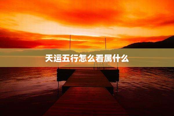天运五行怎么看属什么
