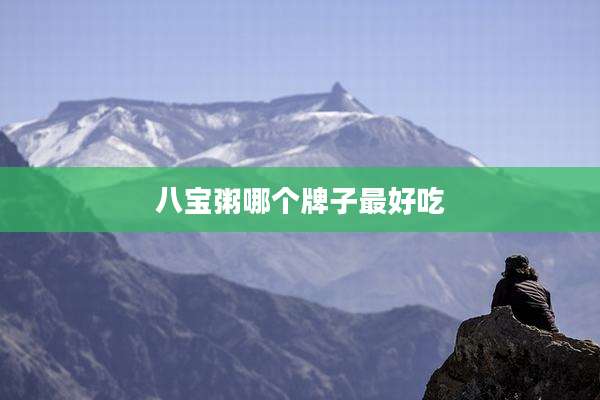 八宝粥哪个牌子最好吃
