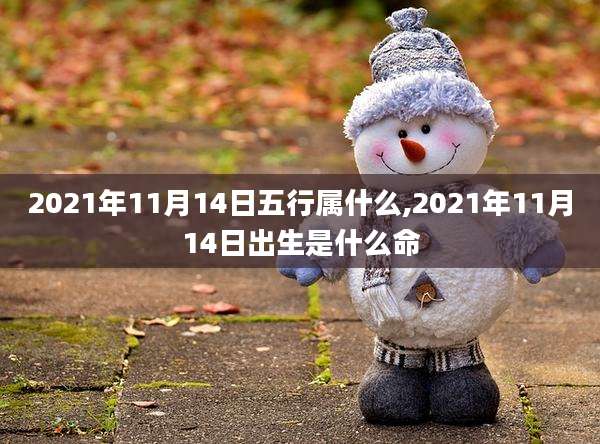 2021年11月14日五行属什么,2021年11月14日出生是什么命