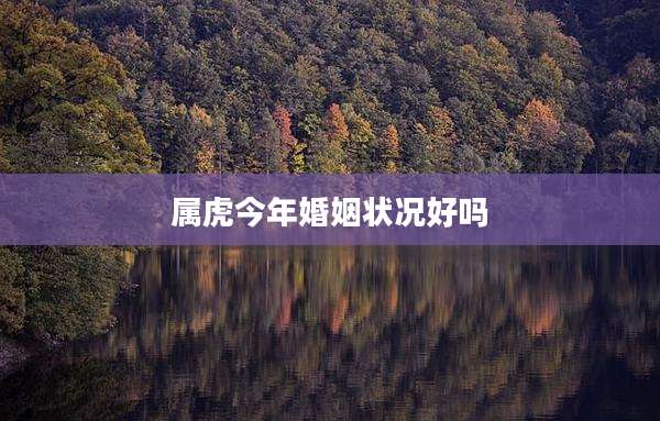 属虎今年婚姻状况好吗