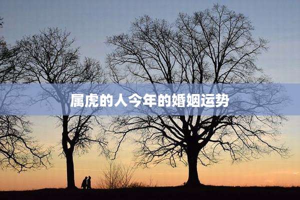 属虎的人今年的婚姻运势
