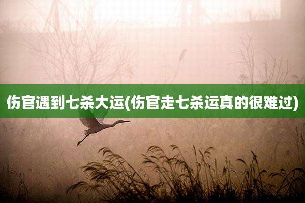 伤官遇到七杀大运(伤官走七杀运真的很难过)