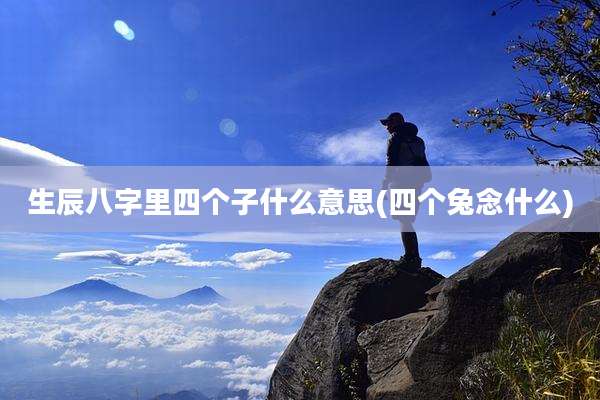 生辰八字里四个子什么意思(四个兔念什么)
