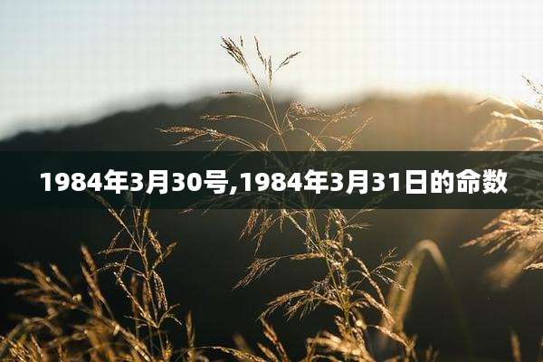 1984年3月30号,1984年3月31日的命数