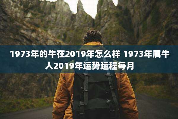 1973年的牛在2019年怎么样 1973年属牛人2019年运势运程每月