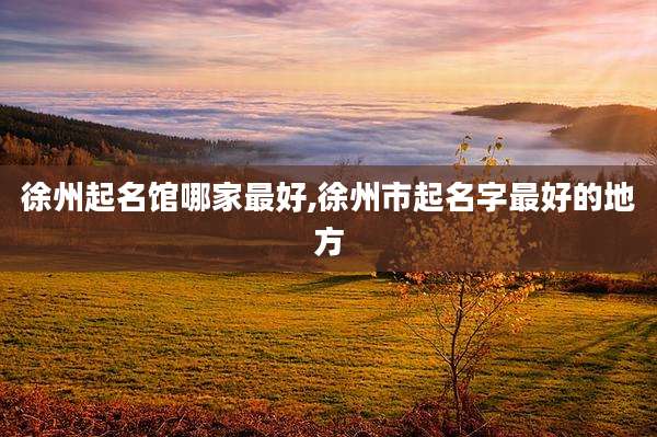徐州起名馆哪家最好,徐州市起名字最好的地方