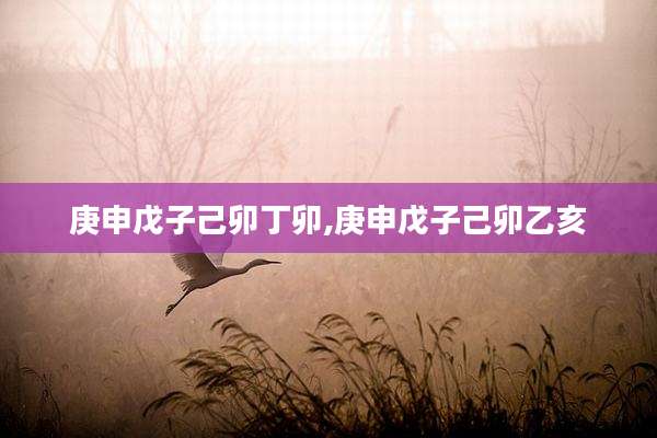 庚申戊子己卯丁卯,庚申戊子己卯乙亥