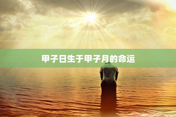 甲子日生于甲子月的命运