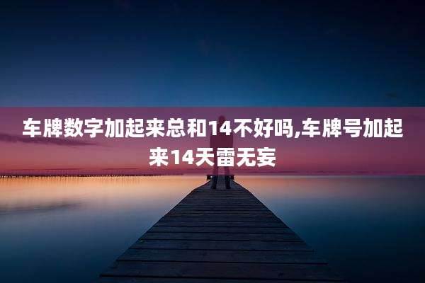 车牌数字加起来总和14不好吗,车牌号加起来14天雷无妄