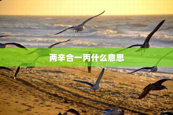 两辛合一丙什么意思