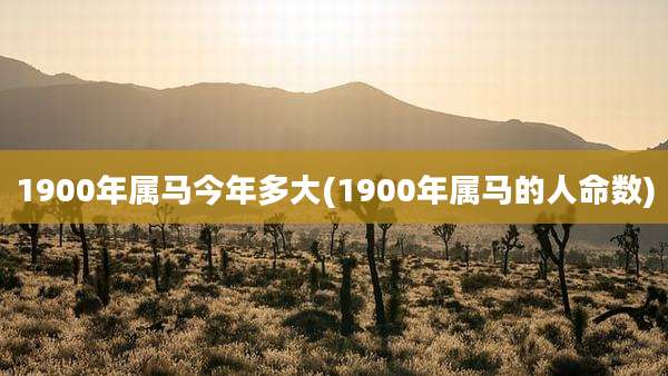 1900年属马今年多大(1900年属马的人命数)