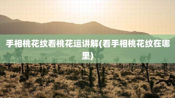 手相桃花纹看桃花运讲解(看手相桃花纹在哪里)