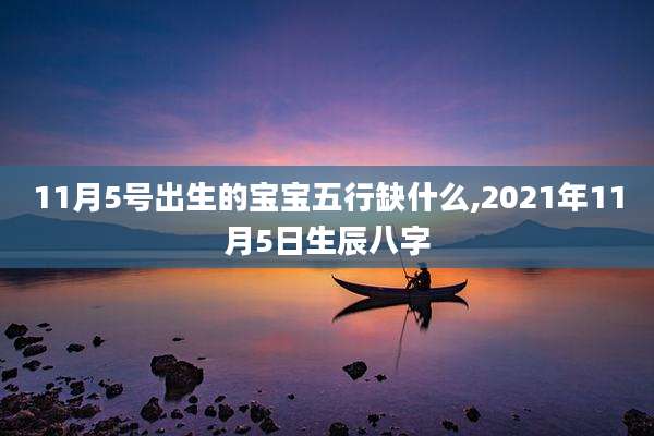 11月5号出生的宝宝五行缺什么,2021年11月5日生辰八字