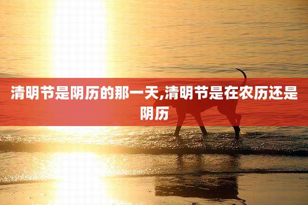 清明节是阴历的那一天,清明节是在农历还是阴历