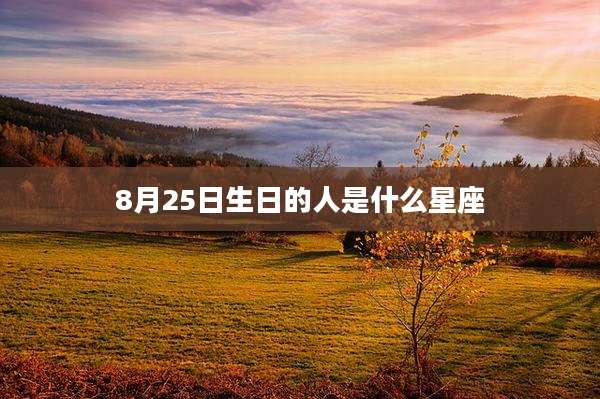 8月25日生日的人是什么星座