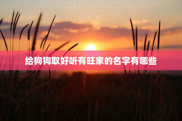 给狗狗取好听有旺家的名字有哪些