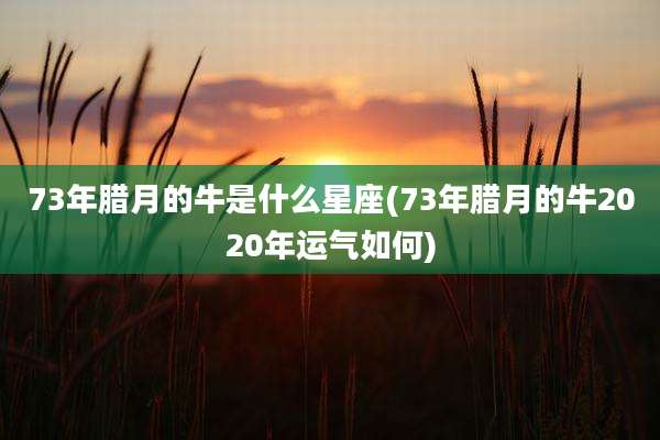 73年腊月的牛是什么星座(73年腊月的牛2020年运气如何)